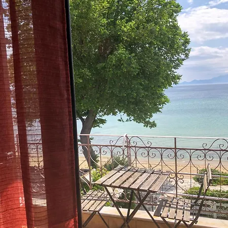 Casa vacanze Palio House PalaiónTsiflíkion