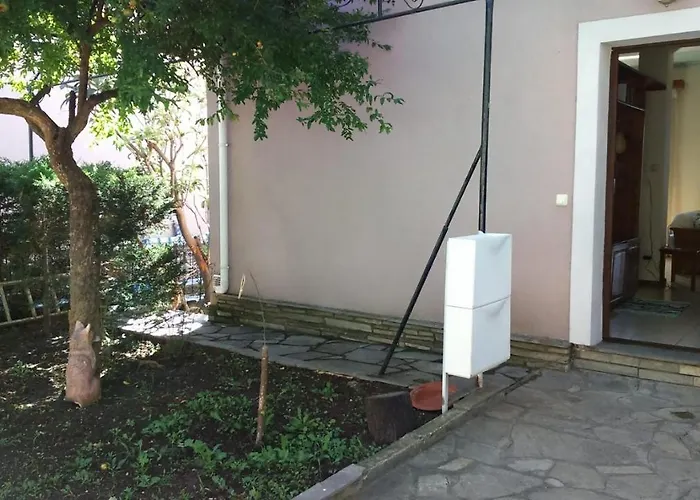 Palio House Tatil Evi PalaiónTsiflíkion